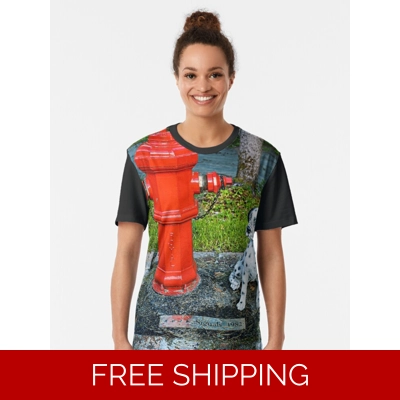 Le Studio Graphic T-Shirt Rush Signals Monument 2019